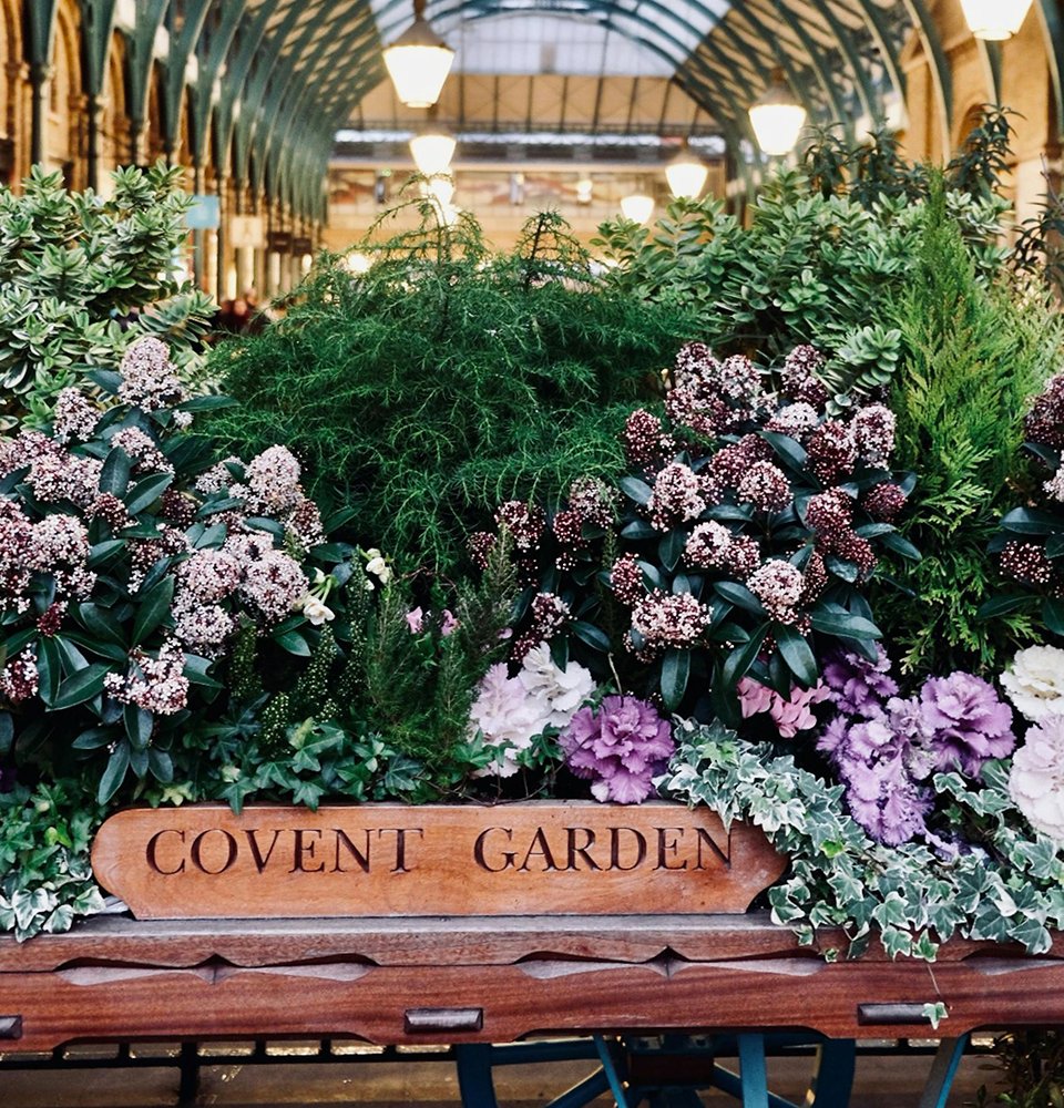 Covent Garden installation photo
